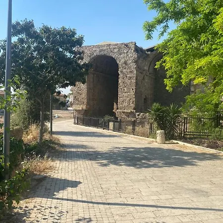 Apollo Evi